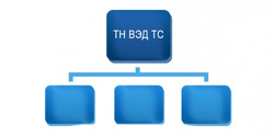 Структура ТН ВЭД ТС